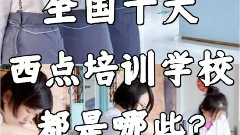 学历教育与技能培训：本质区别与选择指南**